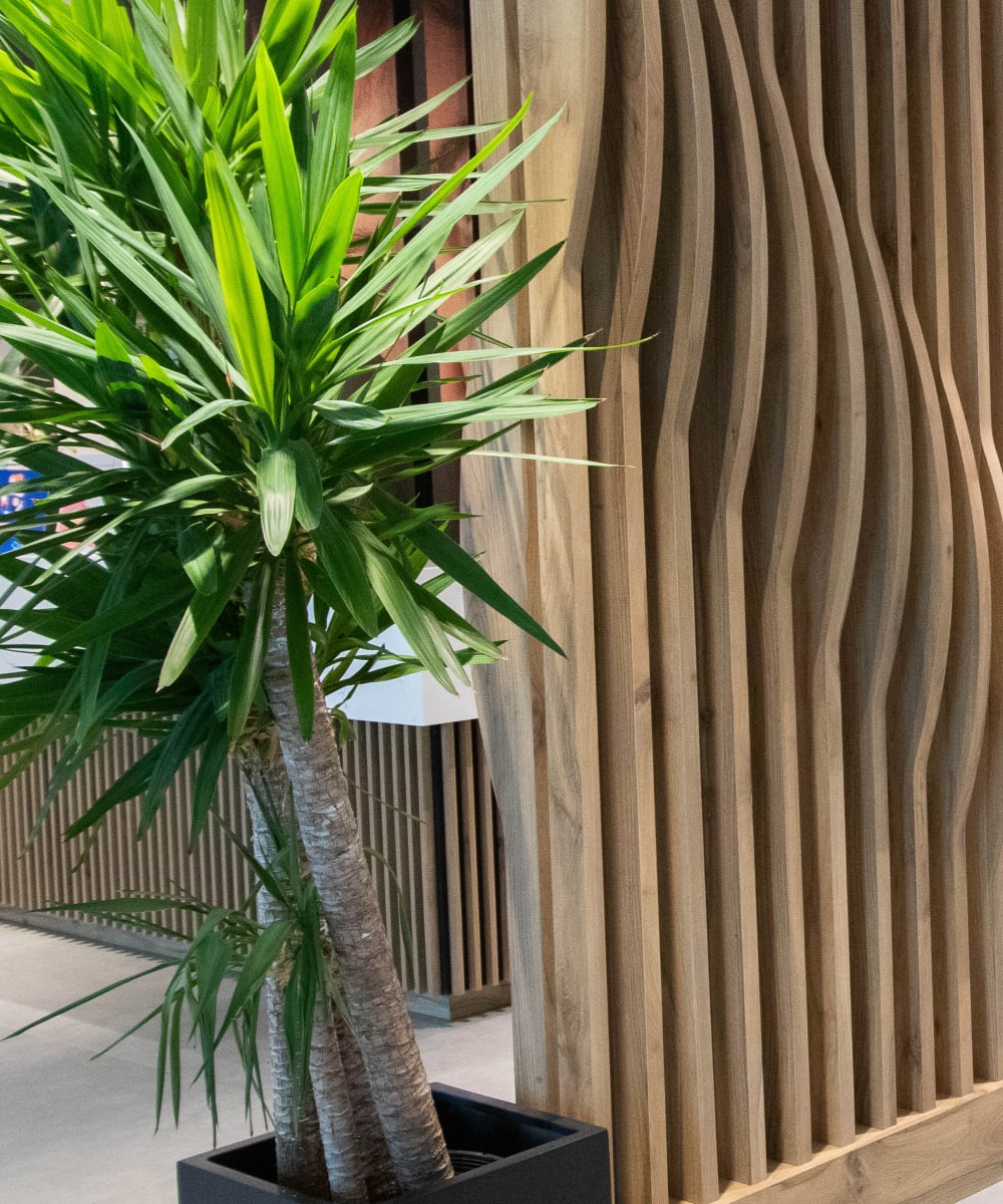 Pourquoi choisir la Clinique Dentaire Nathalie Ross à Drummondville